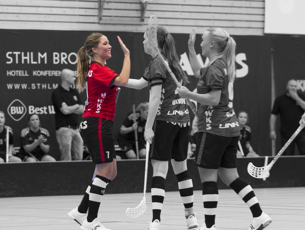 matchprogram 2017/2018 damer division 1