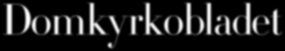 DOMKYRKO- FÖRSAMLING Pärmbild: Minna Kajaste