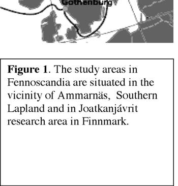 The sites in the alpine heath were located above the tree line at an altitude of 800 1100 m.a.s.l., and the sites in the subalpine birch forest were located at an altitude of 500-650 m.a.s.l. The heath sites were dominated by mosses, lichens, dwarf shrubs, grasses and sedges.