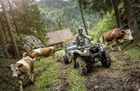 www.yamaha-motor.