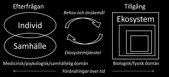 Kulturella ekosystemtjänster