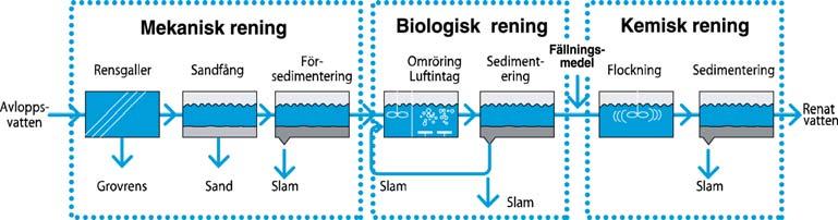 Den biologiska reningen sker genom att mikroorganismer renar vattnet från fosfor, kväve och organiskt material, ofta i en s.k. aktivslamprocess där mikroorganismer lever i flockar som hålls i suspension i bassängen.