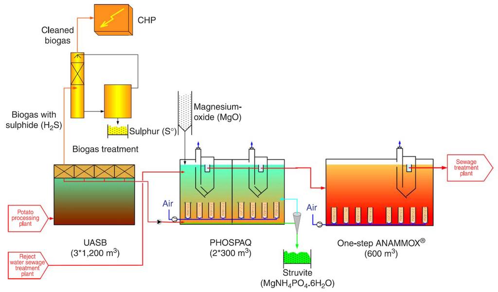 Figur 8-9 Processchema för den industriella delen av Olburgens avloppsreningsverk (Abma et al., 2010).