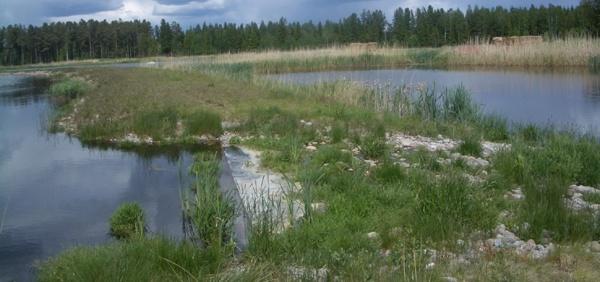 Overflow between pond 1 and pond 2