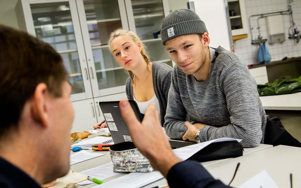 Läs mer om insatsen på Skolverkets webbplats: https://www.skolverket.