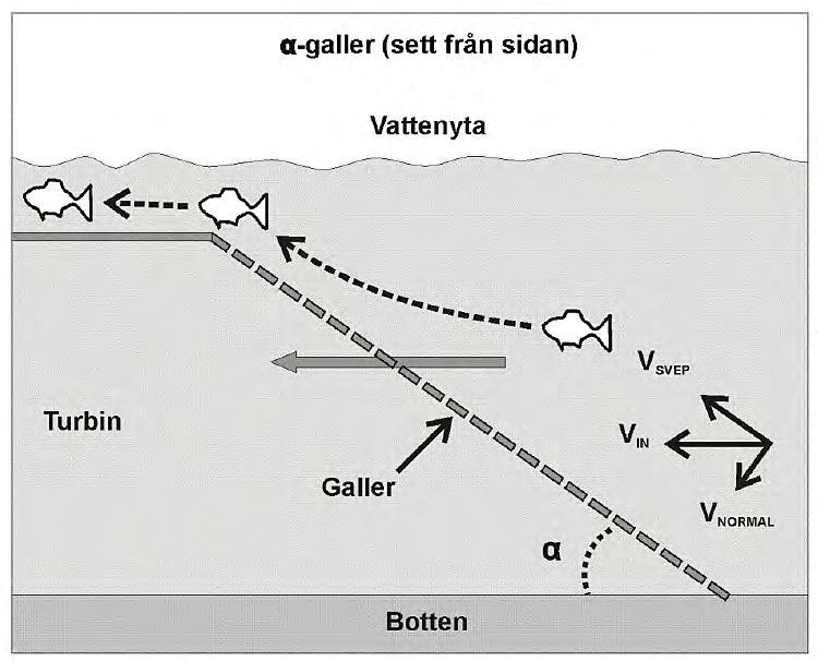 Alfa galler Låglutande < 45 o