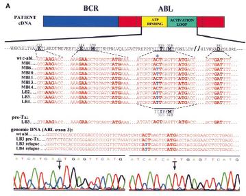 incidence of relapse, and overall survival in adult patients with de novo acute myeloid leukemia: results from