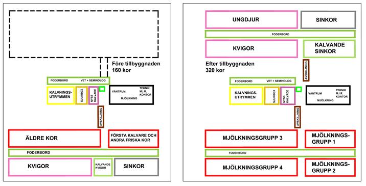 . gången kan fösas in från kohallen. Detta underlättar ströningen och utgödslingen om den görs maskinellt.