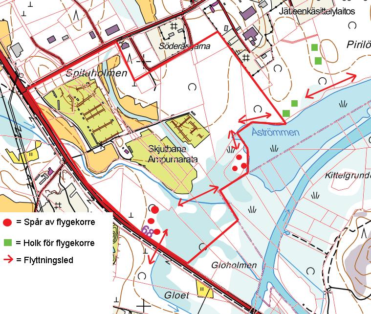 Bilaga 7 Liite 7 6. Flygekorre Flygekorren räknas som en sårbar art (VU) enligt den nyaste klassificeringen av våra utrotningshotade arter och den finns även med på bilaga IVa i EU:s habitatdirektiv.