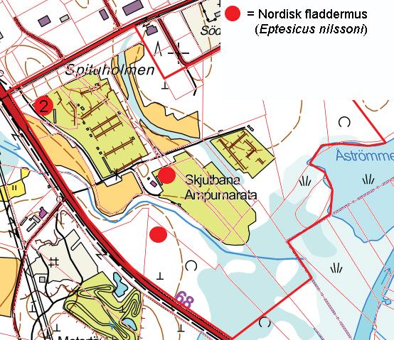 Bilaga 7 Liite 7 7. Fladdermöss Inom området förekommer nordisk fladdermus (Eptesicus nilssoni). Nordisk fladdermus observerades under båda inventeringstillfällena.