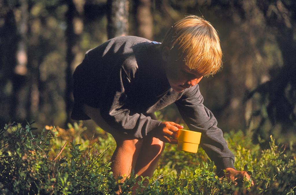 samverkan vid kärnteknisk