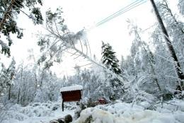 vid extrardinära händelser, ska verka för att Olika aktörer inm