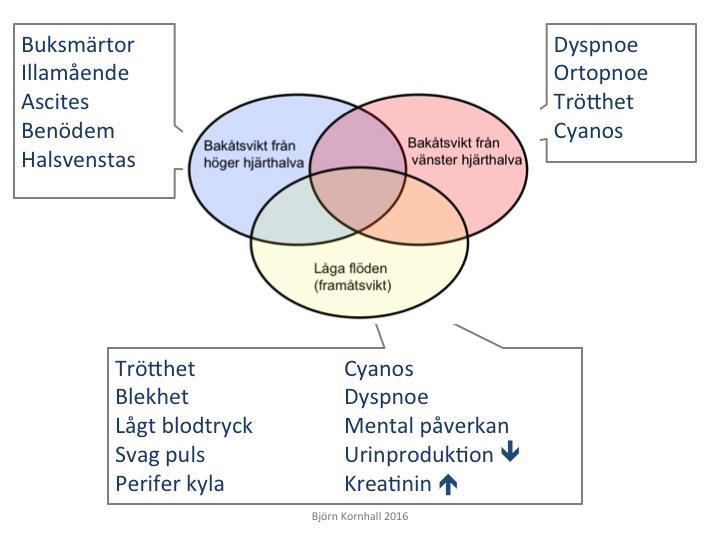 Den kliniska funktionsförmågan påverkar prognos och behandlingsval och klassificeras enligt nedan:.