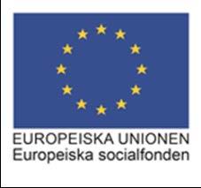 Det innefattar både projekt från Europeiska regionala utvecklingsfonden och Europeiska socialfonden.