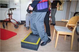 Syfte Bland personer med demens undersöka effekterna av fysisk träning på: Fysiska funktioner balans gångförmåga