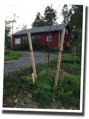 F A S T I G H E T E R Föreningslokalen Viljan Inga större reparationer eller investeringar var aktuella under året, eftersom renovering av vaktmästarbostaden gjordes föregående år och Viljan även i