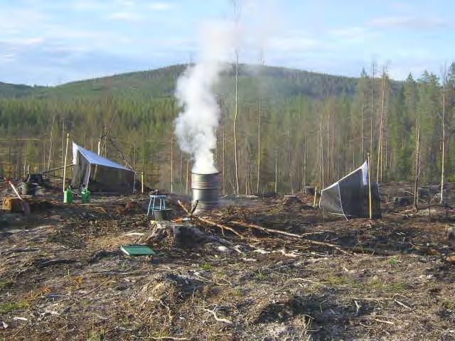 De större flugorna visade sig vara rökdansflugor, som insamlades med lufthåv eller direkt via handplock innan de hann krypa ner i det brinnande humustäcket.
