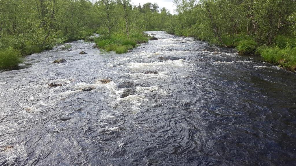 vattenhastighet, djup och bredd.