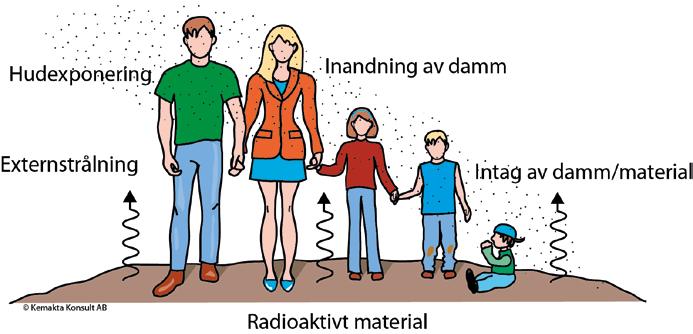 Detta kapitel beskriver exponeringsvägar som tas hänsyn till i scenarier samt hur lämpliga scenarier och representativa data väljs som stöd för friklassning.