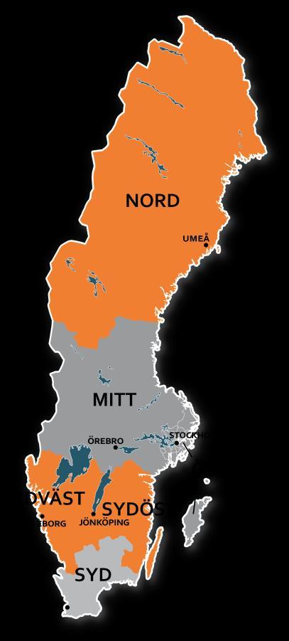 Bilaga 1. Tillvägagångssätt Syftet med rapporten är att ge en bild av hur socialtjänsten beaktar barnens behov i sin myndighetsutövning avseende familjehemsplaceringar.