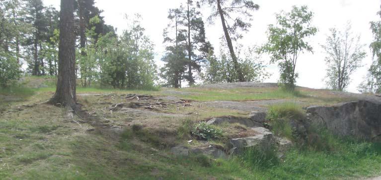 RINKEBY 9. Hällbybackens bergsknalle karaktärer Natur- och skogsmark Ett område med naturmark som lämnas för fri utveckling och där enstaka skötselåtgärder utförs.
