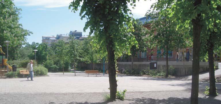 RINKEBY 11. Parktorg vid Askebyskolan karaktärer Låganvänd parkyta En plats med välskötta grusytor och formklippta lindar. En plats med egen karaktär som bibehålls och utvecklas.