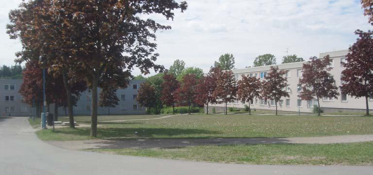 44 RINKEBY 12. Parkrum vid Sunnanbyplan karaktärer Finpark, Låganvända gräs- och parkytor Platsen har utvecklats till ett tydligt avgränsat parkrum med egen identitet.