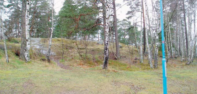 46 RINKEBY 14. Bergsknallen vid Bredbyskolan karaktärer Natur- och skogsmark Ett område med naturmark som lämnas för fri utveckling och där enstaka skötselåtgärder utförs.