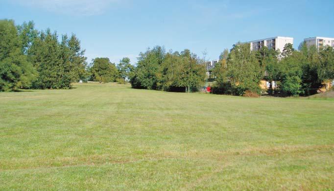 RINKEBY 1. Södra Spånga dalen karaktärer Låganvända gräs- och parkytor Spångadalen bör behålla och förstärka karaktären av centralt dalstråk med långa siktlinjer, vårdade träddungar och alléer.