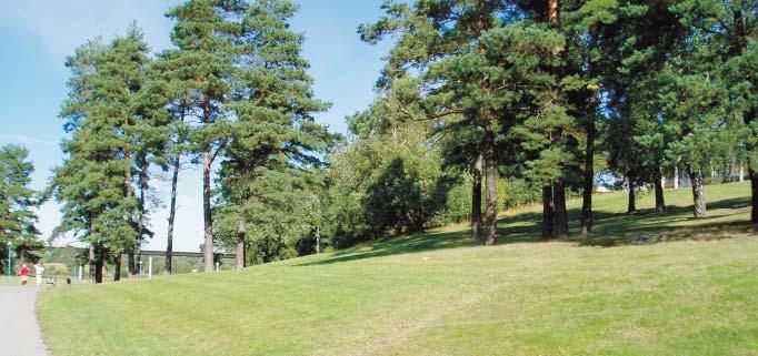 34 RINKEBY 2.