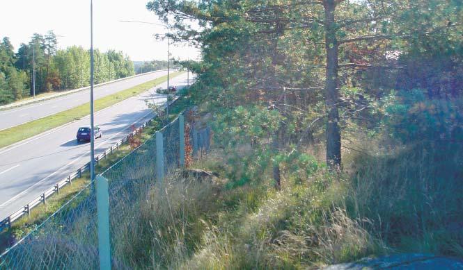 36 RINKEBY 4. Hjulstavägsbranterna karaktärer Låganvända gräsytor, Hävdad skogsmark, Natur- och skogsmark Omsorgsfullt utformad parkmark invid entréer och eventuellt ny överdäckning.