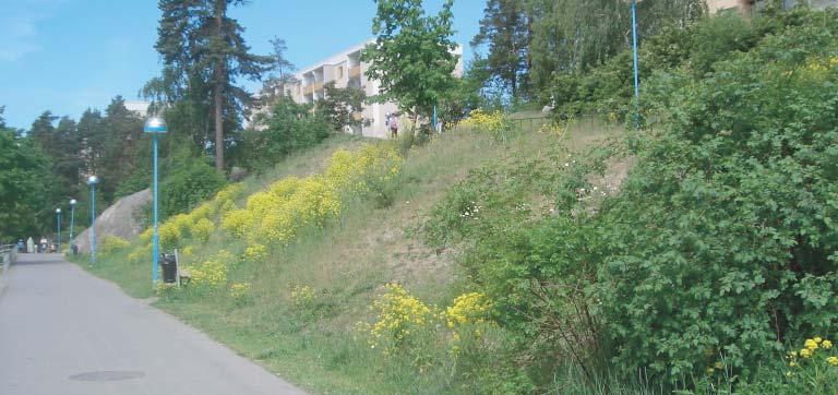 Rinkebystråket 40 RINKEBY 8.