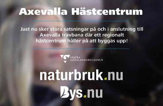 Start :0 Bankod 08 Välkommen till ICA-handlarnas familjedag Montélopp BENNY HILL *, K, M, AM 08 0,br. v.