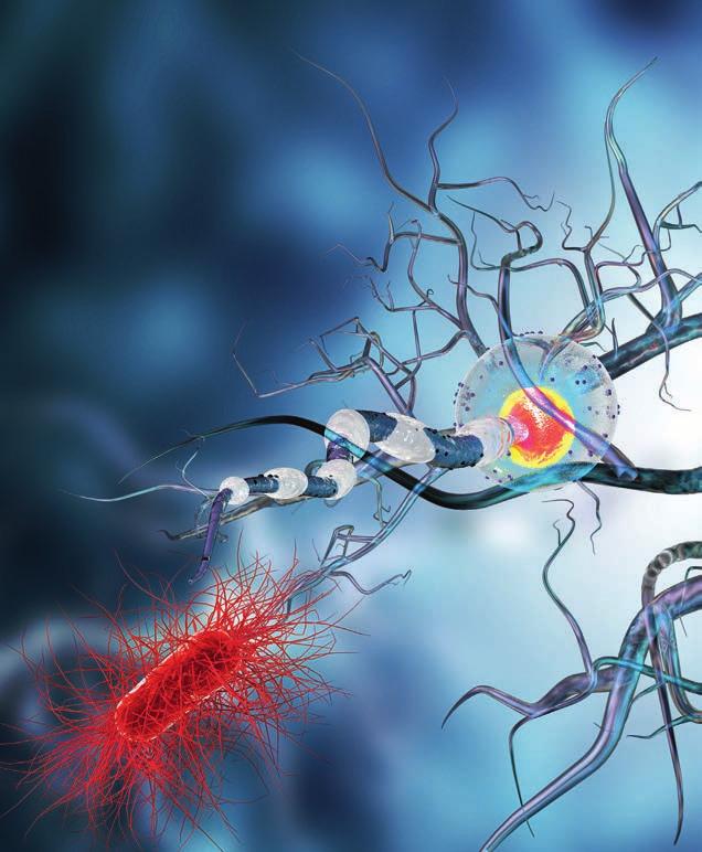 Dessa AD/PD-kongresser tenderar ofta att ha en stark övervikt mot preklinisk forskning och experiment och mind re av klinik och ofta mer av Alzheimers än Parkinsons sjukdom.