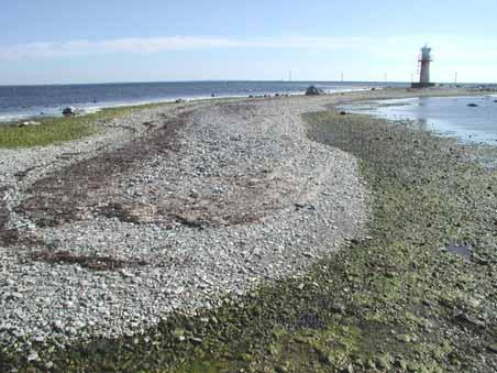 Beskrivning Näsrevet är beläget utanför Näsudden på Gotlands västkust. Området omfattar drygt 94 hektar, varav 24,6 hektar utgörs av naturtyper som finns med i EU:s habitatdirektiv.