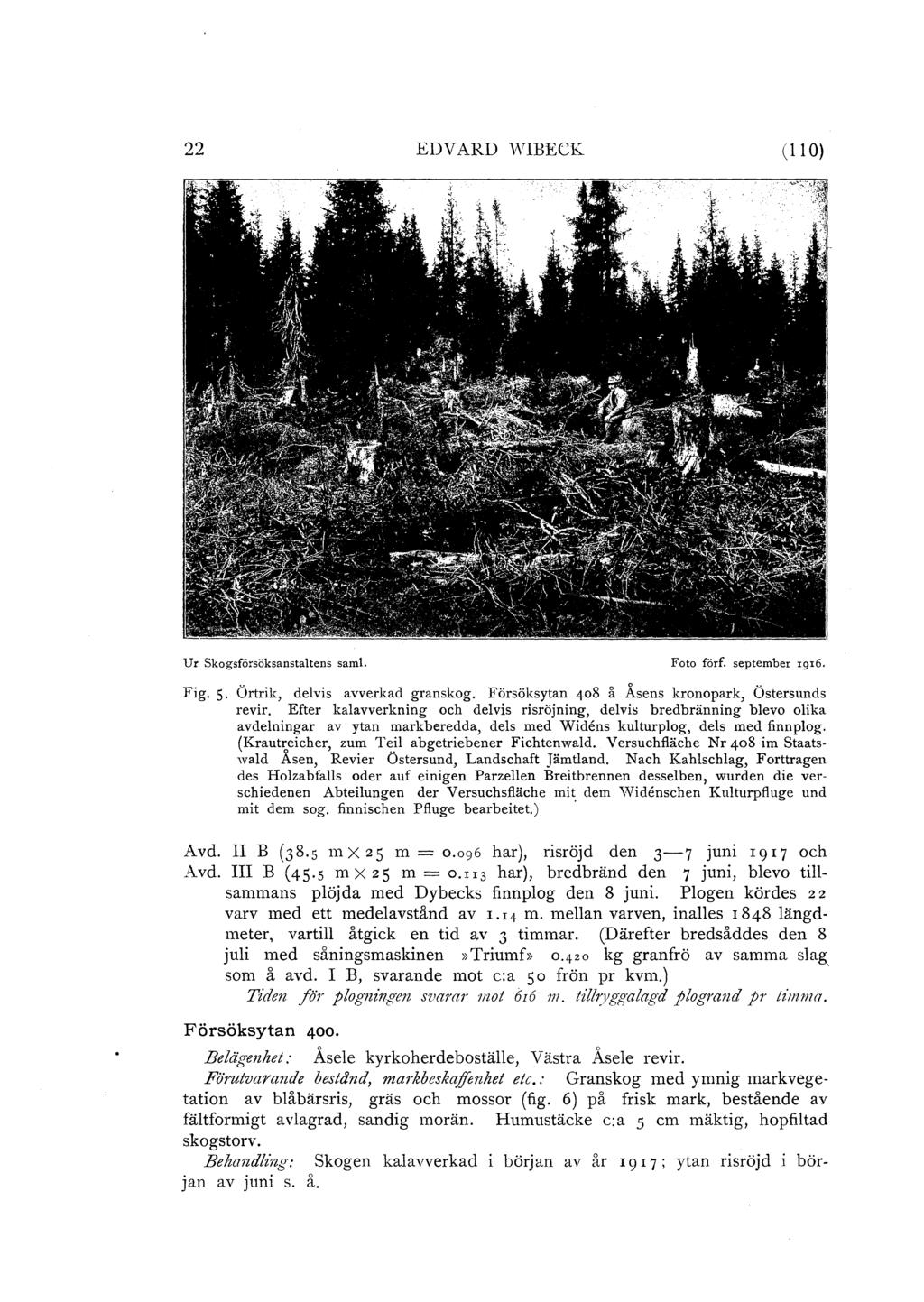 22 EDVARD vvibeck ( 11 O) Ur Skogsförsöksanstatens sam. Foto förf. september I9I6. Fig. 5. Örtrik, devis avverkad granskog. Försöksytan 408 å Åsens kronopark, Östersunds revir.