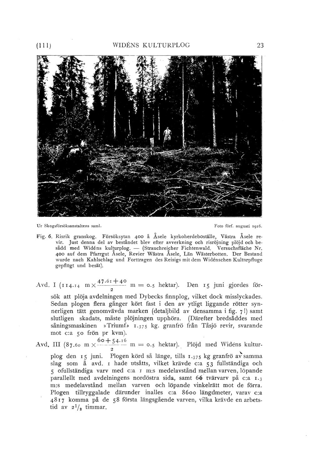 ( 111 J WIDENS KULTURPLOG 23 Ur skogsförsöksanstatens sam1. Foto förf. augusti rgr6. Fig. 6. Risrik granskog. Försöksytan 400 å Åsee kyrkoherdebostäe, Västra Åsee revir.