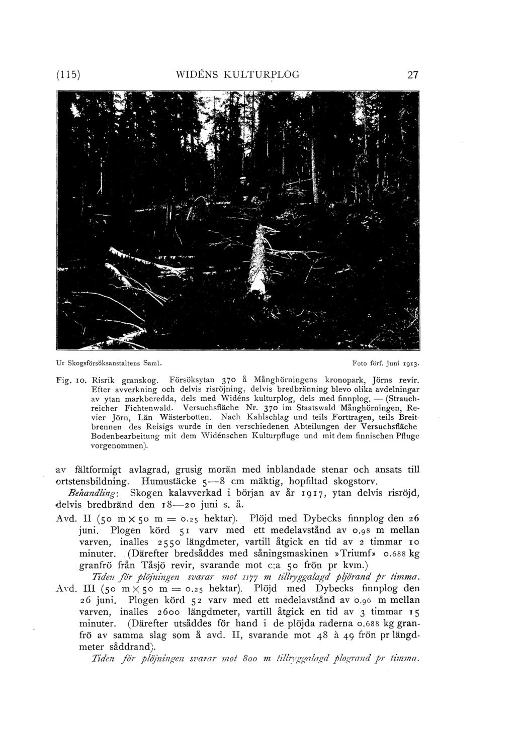 ( 115) WIDENS KULTURPLOG 27 Ur skogsförsöksanstatens Sam. Foto förf. juni I9I3. Fig. ro. Risrik granskog. Försöksytan 370 å Månghörningens kronopark, Jörns revir.