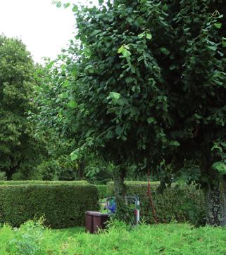 Sommarkafé för både Korsberga och Fridene blir det även denna sommar i Korsberga församlingshem
