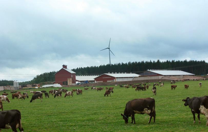 Tekniken är redan mogen, allt som saknas är en tydlig IoTstrategi, budget och ansvarsfördelning Sammanfattning Så arbetar Vadsbo Gård med IoTlösningar Nog om hur IoT tar sig uttryck i teorin.