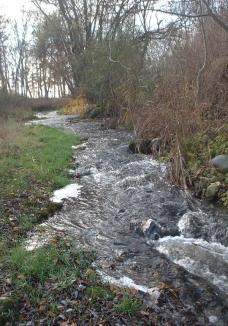 Före Hörsne förändras vattendragets utseende. Ån återgår till ett mer naturligt förlopp och ringlar vackert fram genom ädellövskogen (bild 3).