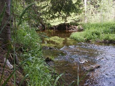2 METODIK Inventeringen av Gothemsån har genomförts under oktober och november 2005 och utförts genom fältinventering där vattendraget fotvandrats från utloppet vid Åminne och uppströms till