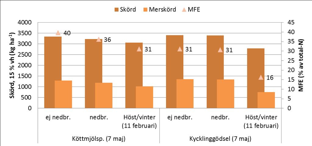 Resultat 2013 Spridning på höst/vinter i höstvete Halland/L. Böslid (moll): Spridning tidig vår 15 april, bättre effekt än 25 april och 5 maj (ej nedbrukat), ej sign!