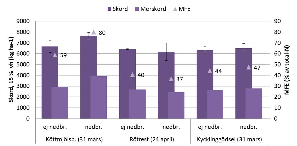 LSD = 1300 kg/ha.