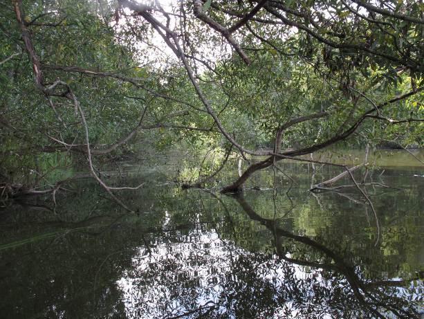 Djupet varierar väldigt mycket, med såväl djupa områden (>10 meter) i anslutning till branta