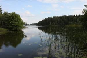Åbysjön, vik söder om Björkängsån Startkoordinat X: 6542016 Y: 1567569 Slutkoordinat X: 6541885 Y: 1567566