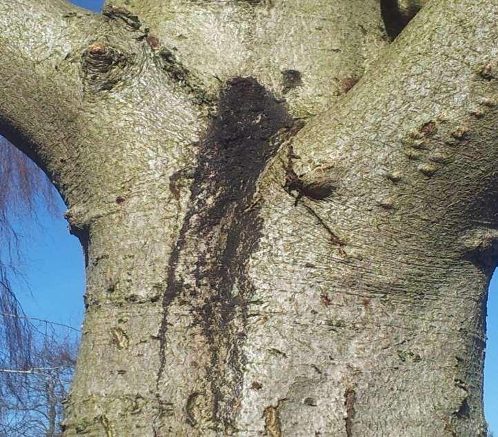 Svåra