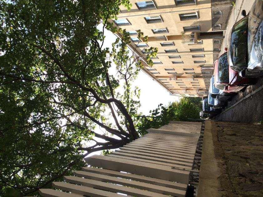 Skötsel mål o Främja funktion och trädens värden. o Gynna hållbar form & struktur. för trädens värden och av ekonomiska skäl o Undvika mekaniska skador på trädet.