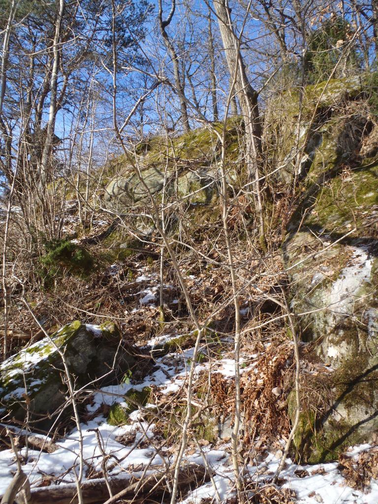 Figur 3. Bland annat snabbt växande vegetation har genom rotsprängning lösgjort block som nu ligger vid släntfoten, till vänster i bilden.