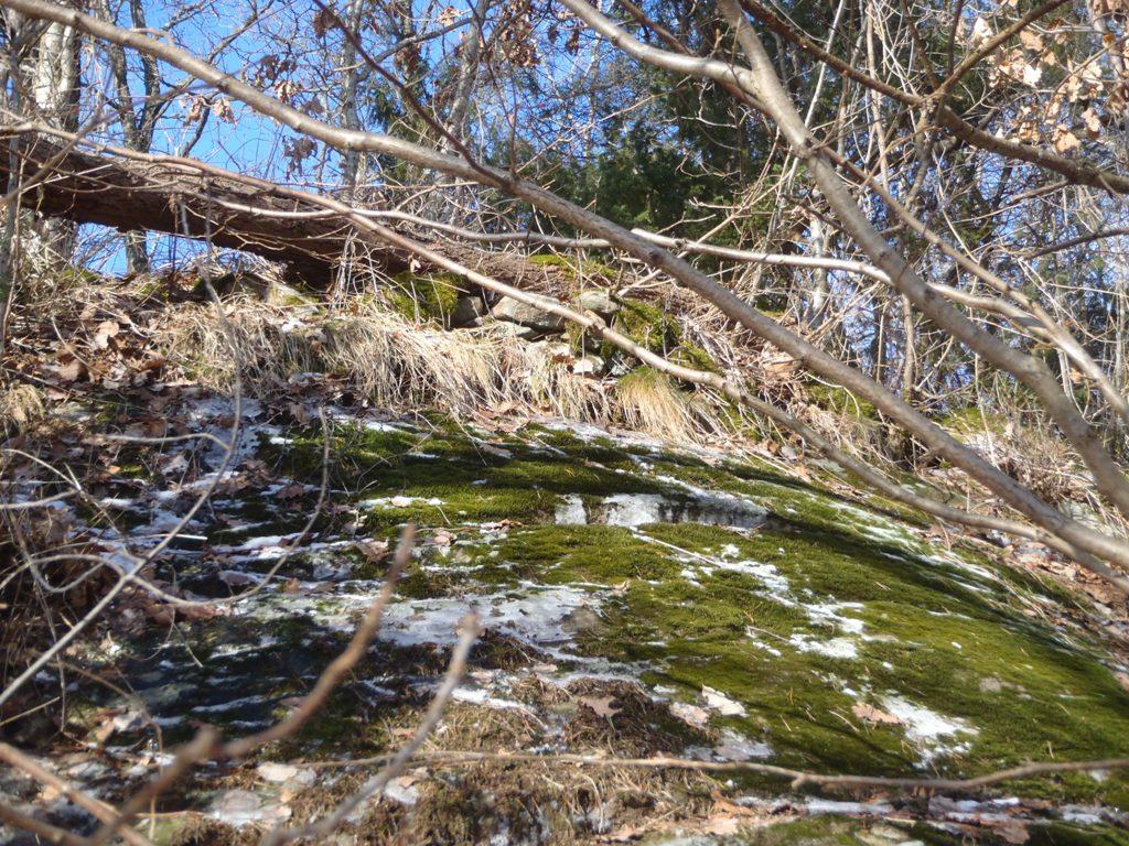 Dessutom förekommer, som tidigare nämnts, rikligt med snabbväxande träd- och slyvegetation i slänten som med sina rötter spränger sönder bergslänten och gör den instabil.